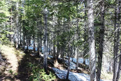 19420 Kingston Peak Road, Black Hawk, CO 80422 - Photo 30