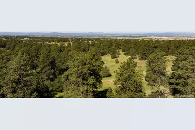 10252 Pine Song Place, Parker, CO 80138 - Photo 12