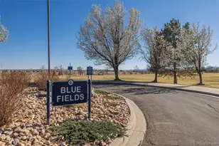 1356 Dexter St, Broomfield, CO 80020 - Photo 42