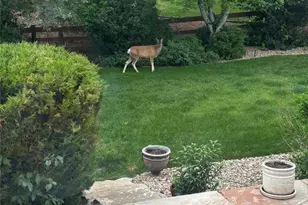 3302 Running Deer Dr, Castle Rock, CO 80109 - Photo 44