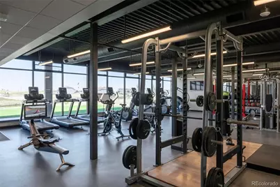 3093 Carabiner Street, Castle Rock, CO 80108 - Photo 50