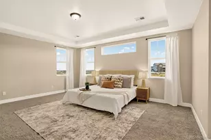 3093 Carabiner St, Castle Rock, CO 80108 - Photo 24