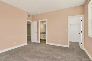 3093 Carabiner St, Castle Rock, CO 80108 - Photo 34