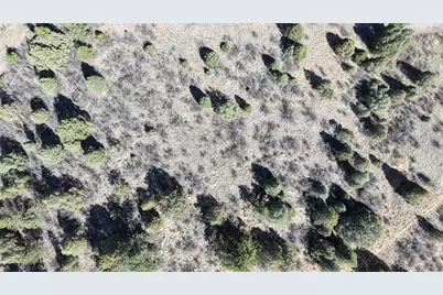 2050 Coyote Spur, Golden, CO 80403 - Photo 32