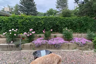 5790 W 51st Ave, Denver, CO 80212 - Photo 22