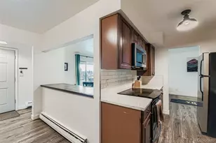 4639 S Lowell Blvd, Denver, CO 80236 - Photo 4