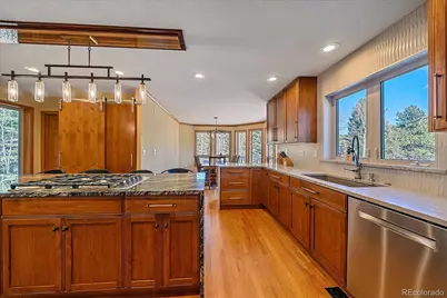 9948 S Turkey Creek Road, Morrison, CO 80465 - Photo 16