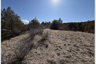 3412 Indian Wells Road, Cotopaxi, CO 81223 - Photo 6