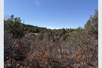 3412 Indian Wells Road, Cotopaxi, CO 81223 - Photo 16