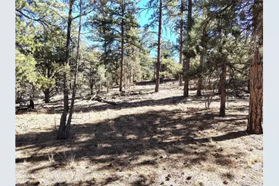 265 Alden Lane, Cotopaxi, CO 81223 - Photo 4