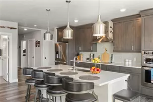 20 Wilcox St, Castle Rock, CO 80104 - Photo 8