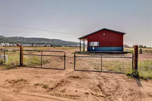 39550 US Hwy 24, Lake George, CO 80827 - Photo 4