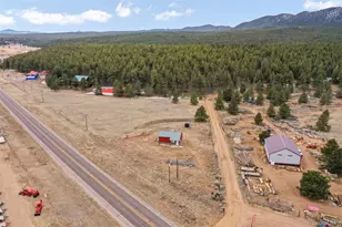 39550 US Hwy 24, Lake George, CO 80827 - Photo 40
