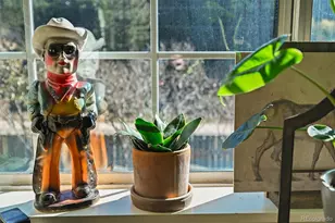 27389 Hwy 74, Evergreen, CO 80439 - Photo 18