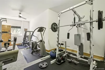 292 Aspen Lane, Black Hawk, CO 80422 - Photo 38