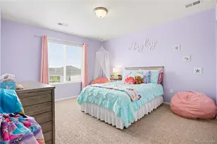 6138 Long Branch Dr, Parker, CO 80134 - Photo 26
