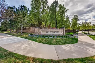 10140 Bluffmont Ln, Lone Tree, CO 80124 - Photo 36