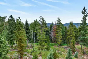 31547 Conifer Mountain Dr, Conifer, CO 80433 - Photo 22