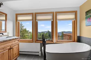 31547 Conifer Mountain Dr, Conifer, CO 80433 - Photo 28