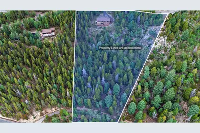 31547 Conifer Mountain Drive, Conifer, CO 80433 - Photo 46