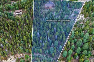 31547 Conifer Mountain Dr, Conifer, CO 80433 - Photo 46