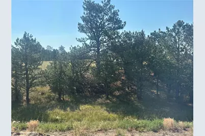 32147 Waylongood Point, Kiowa, CO 80117 - Photo 14
