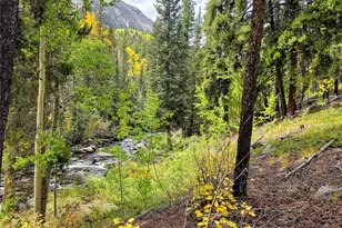16101 Rob Roy Ms Mc, Nathrop, CO 81236 - Photo 22
