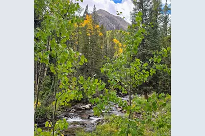 16101 Rob Roy Ms Mc, Nathrop, CO 81236 - Photo 24