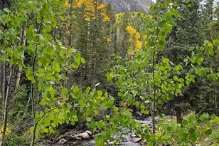 16101 Rob Roy Ms Mc, Nathrop, CO 81236 - Photo 24