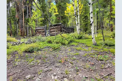 16101 Rob Roy Ms Mc, Nathrop, CO 81236 - Photo 40