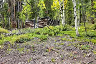 16101 Rob Roy Ms Mc, Nathrop, CO 81236 - Photo 40