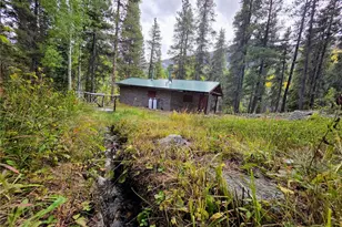 16101 Rob Roy Ms Mc, Nathrop, CO 81236 - Photo 30