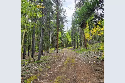 16101 Rob Roy Ms Mc, Nathrop, CO 81236 - Photo 28