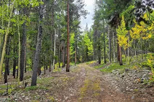 16101 Rob Roy Ms Mc, Nathrop, CO 81236 - Photo 28