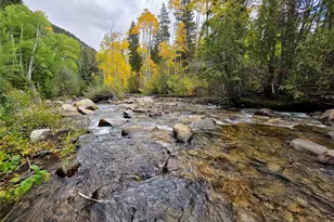 16101 Rob Roy Ms Mc, Nathrop, CO 81236 - Photo 18