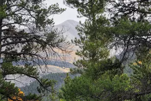 16101 Rob Roy Ms Mc, Nathrop, CO 81236 - Photo 32