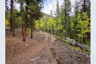 16101 Rob Roy Ms Mc, Nathrop, CO 81236 - Photo 26