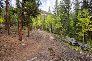 16101 Rob Roy Ms Mc, Nathrop, CO 81236 - Photo 26
