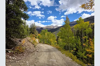 16101 Rob Roy Ms Mc, Nathrop, CO 81236 - Photo 44