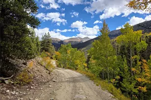 16101 Rob Roy Ms Mc, Nathrop, CO 81236 - Photo 44
