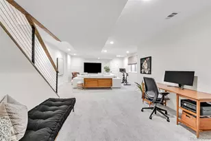 420 Detroit St, Denver, CO 80206 - Photo 34