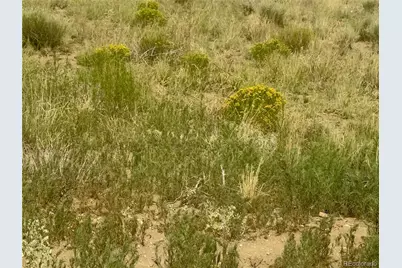 Lot 10 Ll 9th Street, Blanca, CO 81123 - Photo 6