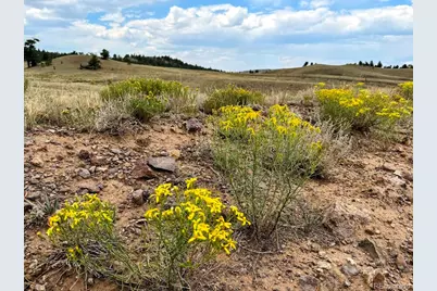 Cherokee Trail, Hartsel, CO 80449 - Photo 16
