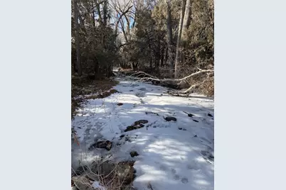 3899 Rarity Way, Crestone, CO 81131 - Photo 6