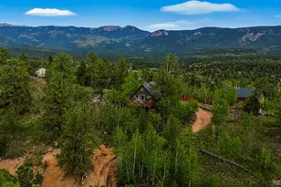 229 McDougal Rd, Bailey, CO 80421 - Photo 2
