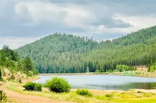 229 McDougal Rd, Bailey, CO 80421 - Photo 24
