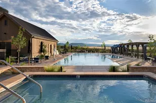 398 Agoseris Wy, Castle Rock, CO 80104 - Photo 4