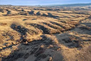 1045 Brocade Dr, Highlands Ranch, CO 80126 - Photo 50