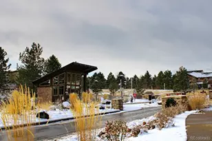 1045 Brocade Dr, Highlands Ranch, CO 80126 - Photo 40