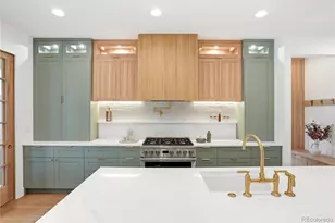 245 S Emerson St, Denver, CO 80209 - Photo 16